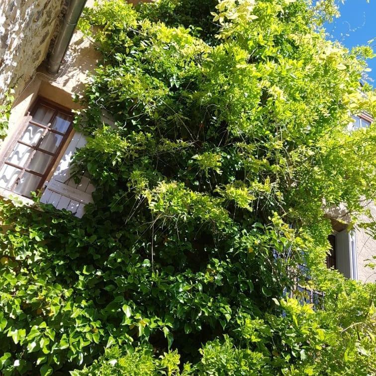 Ferienwohnung Le Balcon Camps-sur-l'Agly Exterior foto